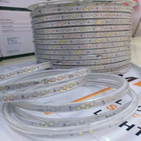 LED CUỘN 220V XÉO CHẠY 3 KIM