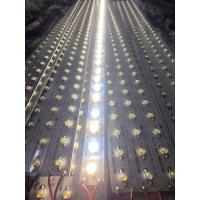 LED THANH TỦ VÀNG 12V ( BÓNG 1W - 3W - BÓNG MỸ )