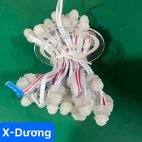 LED F9 12V XANH DƯƠNG
