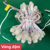 LED F9 12V VÀNG ĐẬM