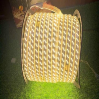 LED CUỘN 220V 3 ĐƯỜNG BÓNG TRẮNG ẤM