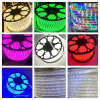 LED CUỘN 220V 2 ĐƯỜNG BÓNG HỒNG