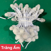 LED F9 12V TRẮNG ẤM