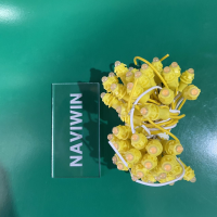 LED F5 12V VÀNG ĐẬM