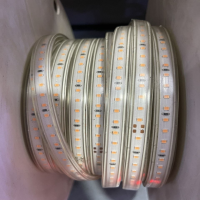 LED CUỘN 220V NAVIGATE HỒNG