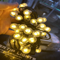 DÂY BI BỌT VÀNG 220V