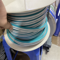 NEON SIGHT 8LI 12V CAM